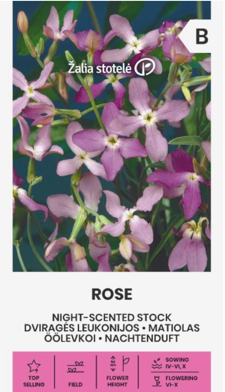 Maciejka różowa Night-Scented Stock Rose odmiana o licznych pięknie pachnących kwiatach nasiona 1g Žalia stotelė sklep rajogrodnika